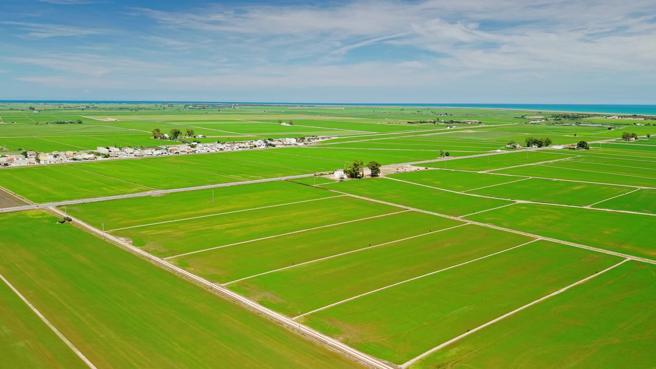 Aerial view of green rice paddies near Mediterranean coastline in Ebro Delta, Spain. Geometric agricultural fields, irrigation roads and fertile farmland.