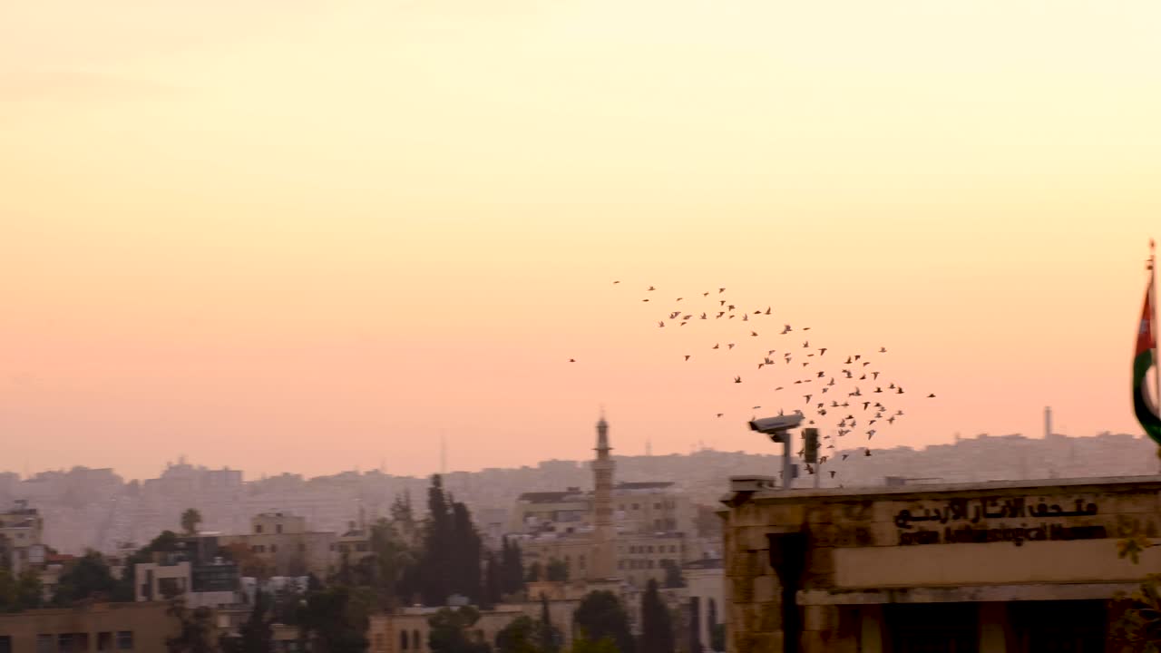 bandada de palomas volando sobre la ciudad capital de amman en jordania al atardecer crepúsculo atardecer con cielo de color naranja dorado