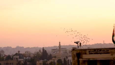 Bandada-De-Palomas-Volando-Sobre-La-Ciudad-Capital-De-Amman-En-Jordania-Al-Atardecer-Crepúsculo-Atardecer-Con-Cielo-De-Color-Naranja-Dorado