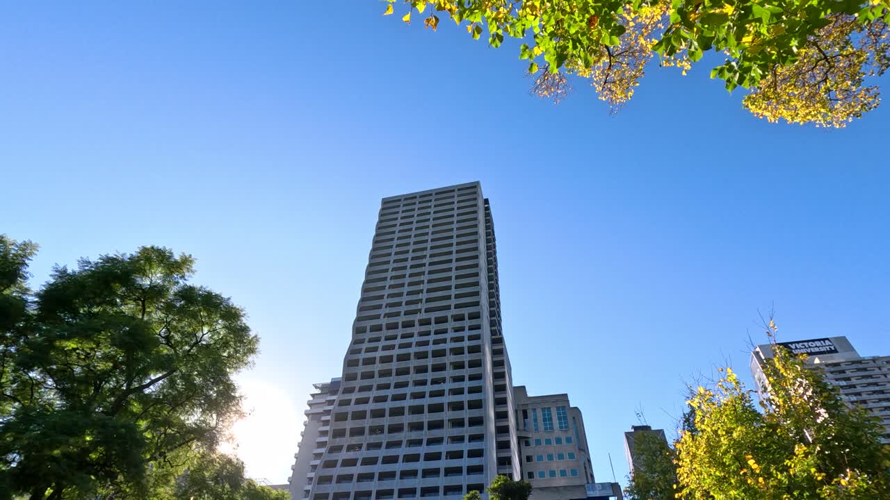 공원 에서 떨어진 잎 을 가진 초고층 건물 전망