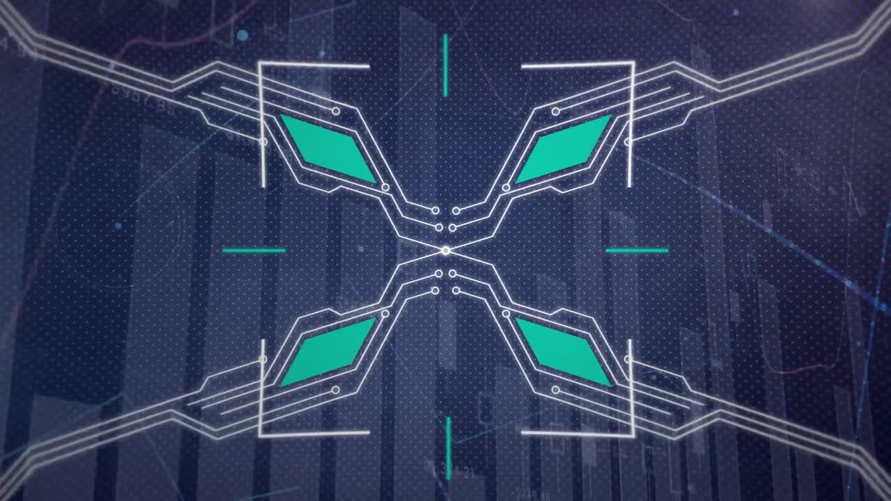 Animation of network of connections over data processing