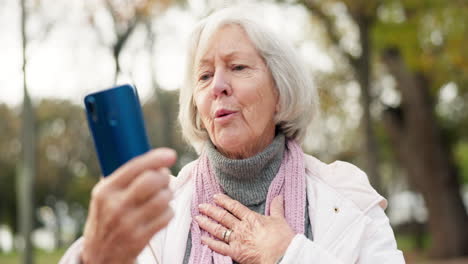 Telefon,-Videoanruf-Und-Eine-ältere-Frau-Im-Park