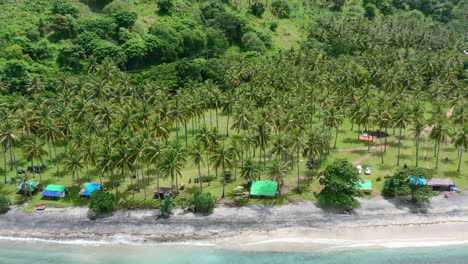 tropical field of coconut trees at kerandangan beach in senggigi lombok, aerial