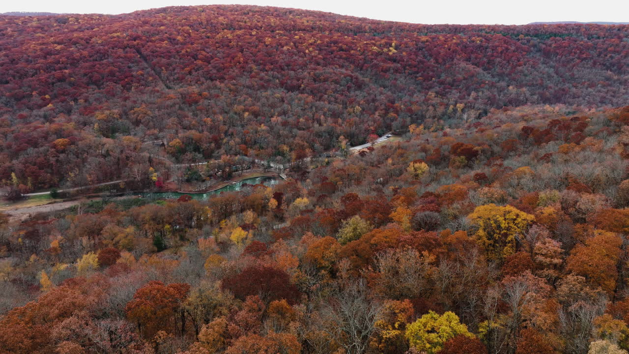 Vibrant red orange yellow forest fall nature landscape in Devil's den state park