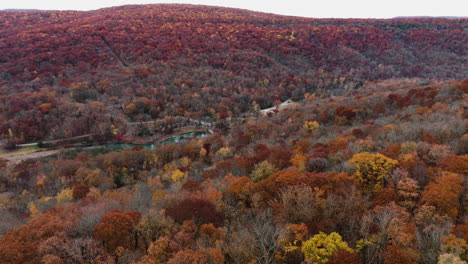 Vibrant-red-orange-yellow-forest-fall-nature-landscape-in-Devil's-den-state-park