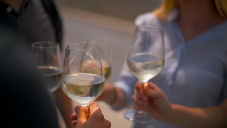 a group of friends toast with wine