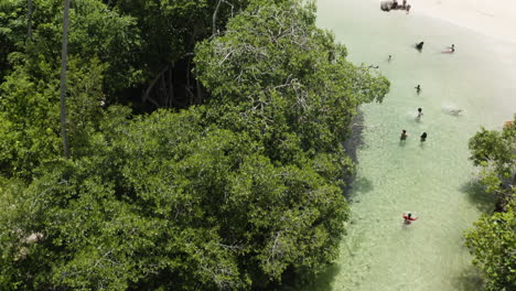 aerial - people in water and white sand beach, playa rincon, dominican republic