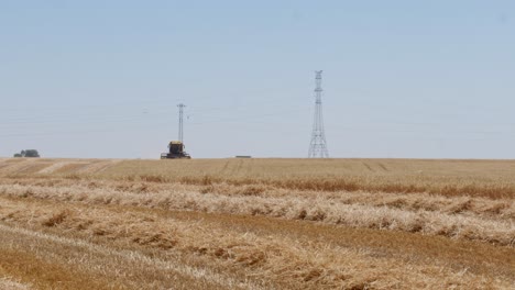 combine harvesting wheat field in spain-1