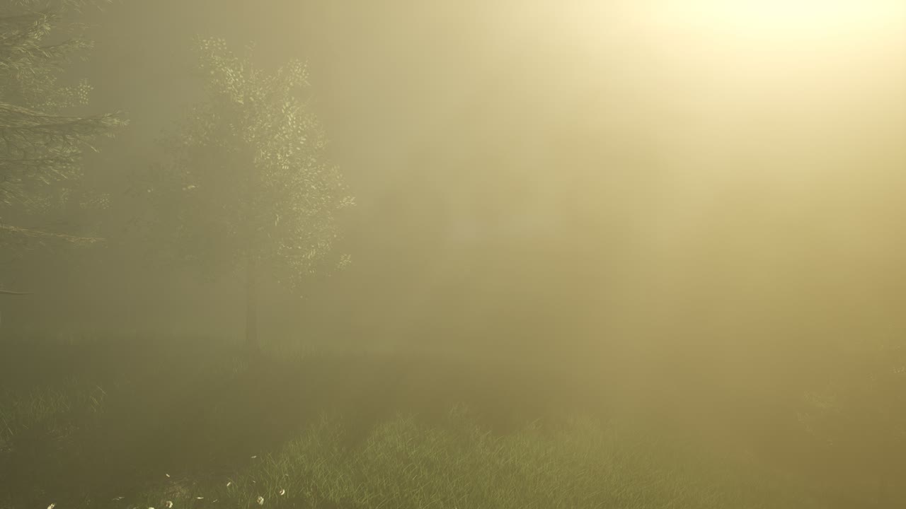 반 ⁇ 이는 마법의 숲