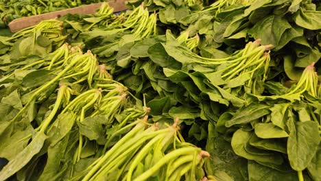 espinacas frescas