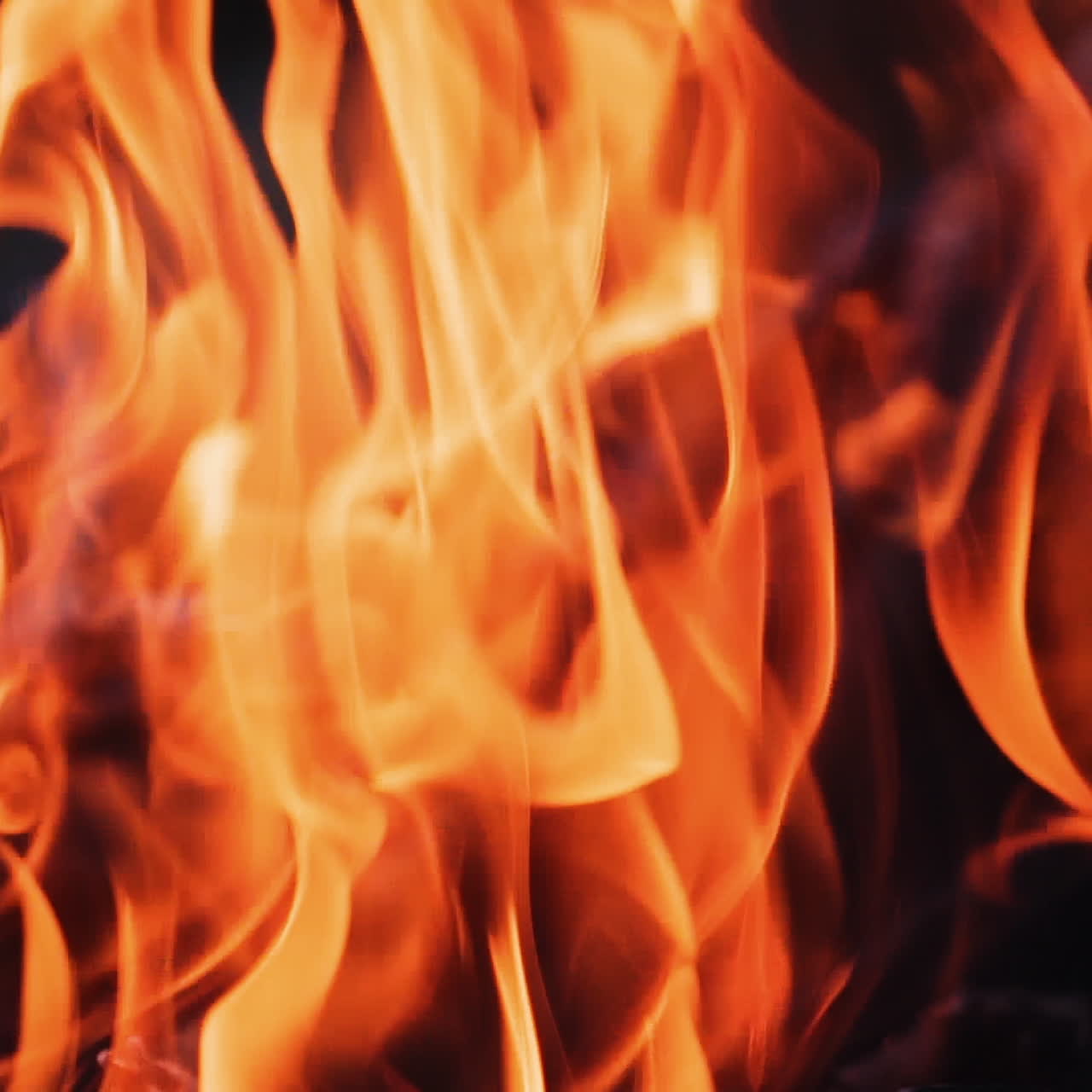 Burning fire. Bonfire. Closeup of flames burning on black background, slow motion