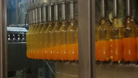 Water-bottling-line-for-processing-in-conveyor-belt