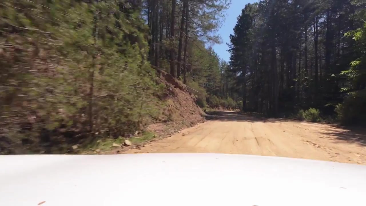 Guida su una strada forestale sterrata nel Peloponneso, Grecia, ripresa POV dal cofano
