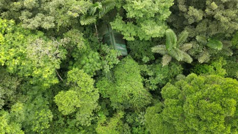 aerial view tilting up shot, scenic view of la tigra rainforest in costa rica, on a bright sunny day