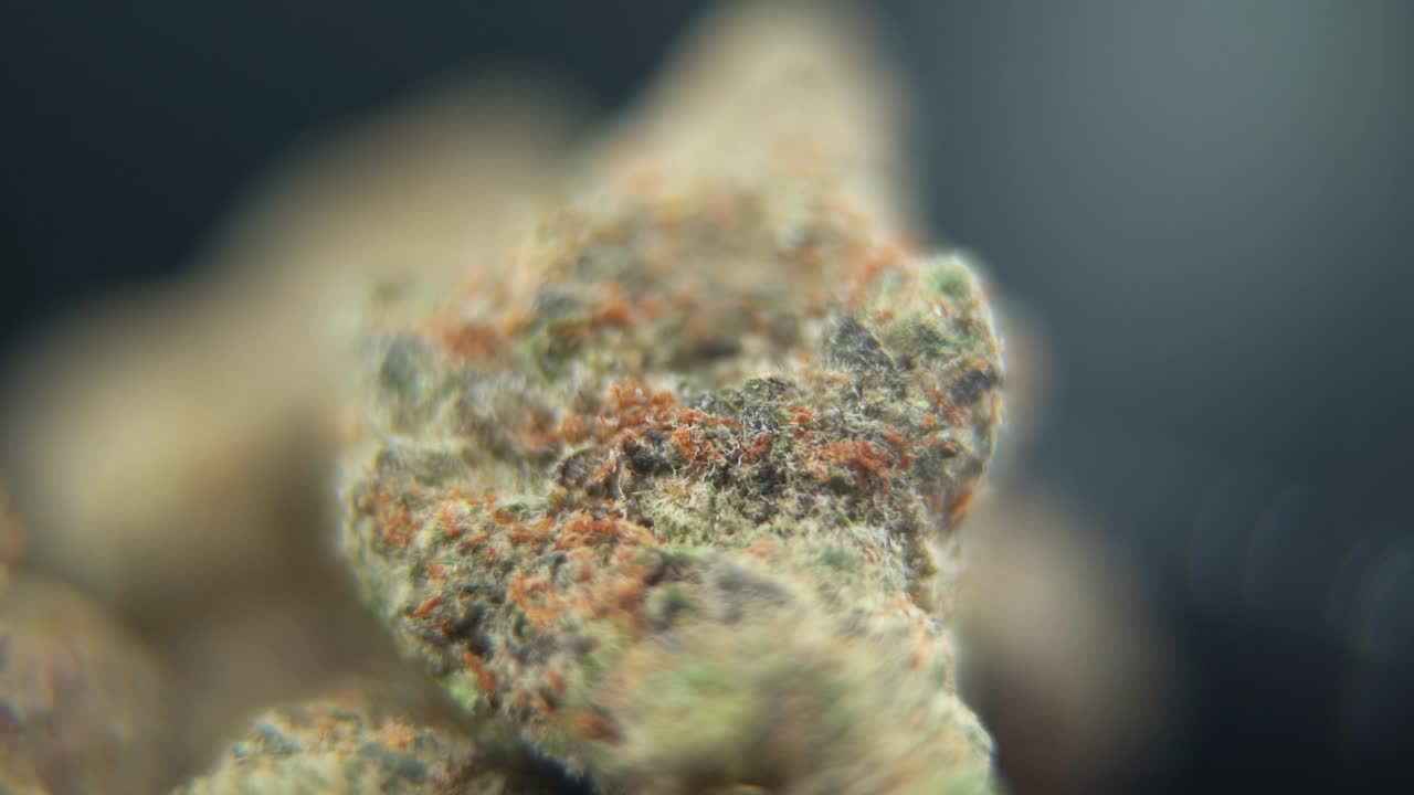 Macro shot of a high-quality cannabis bud rotating on a 360-degree stand, highlighting orange trichomes, vibrant colors, and fine details. Perfect for promoting premium cannabis products 120 fps