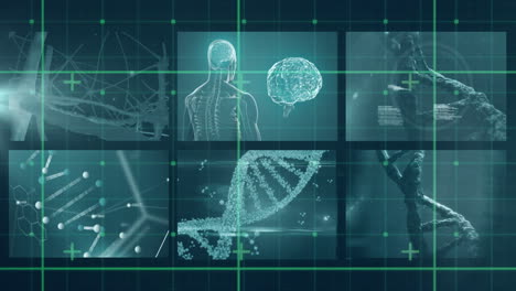 animation of scientific data processing over screens