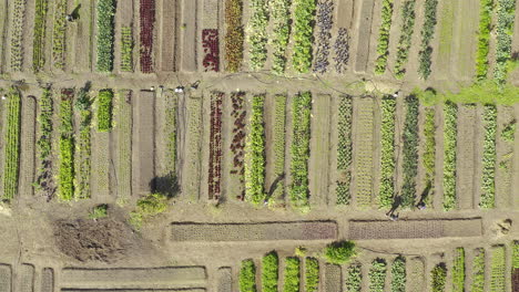 una granja organizada es una granja próspera.