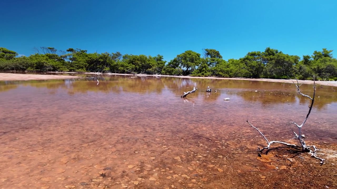 Pan right view of Laguna Rosada, Pink Salt Lagoon on Francisqui Island, Los Roques, Venezuela