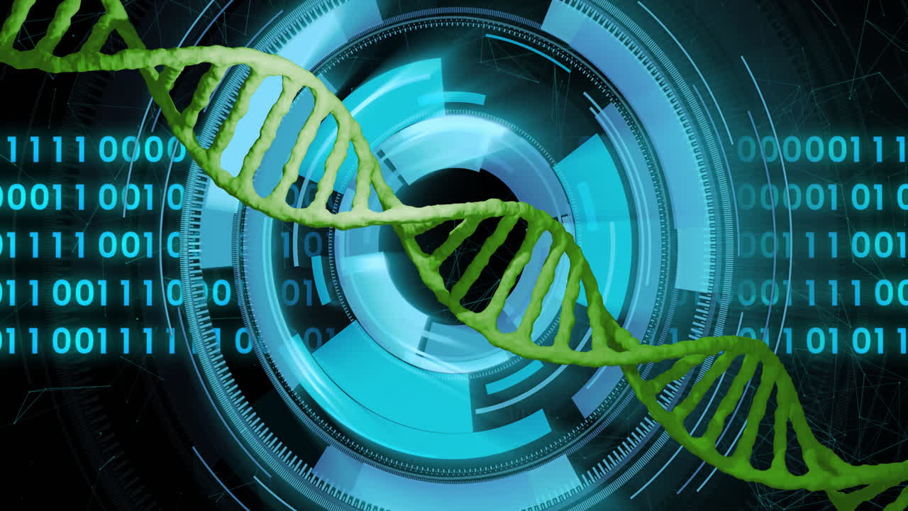 cadena de adn y interfaz digital, animación de procesamiento de datos científicos