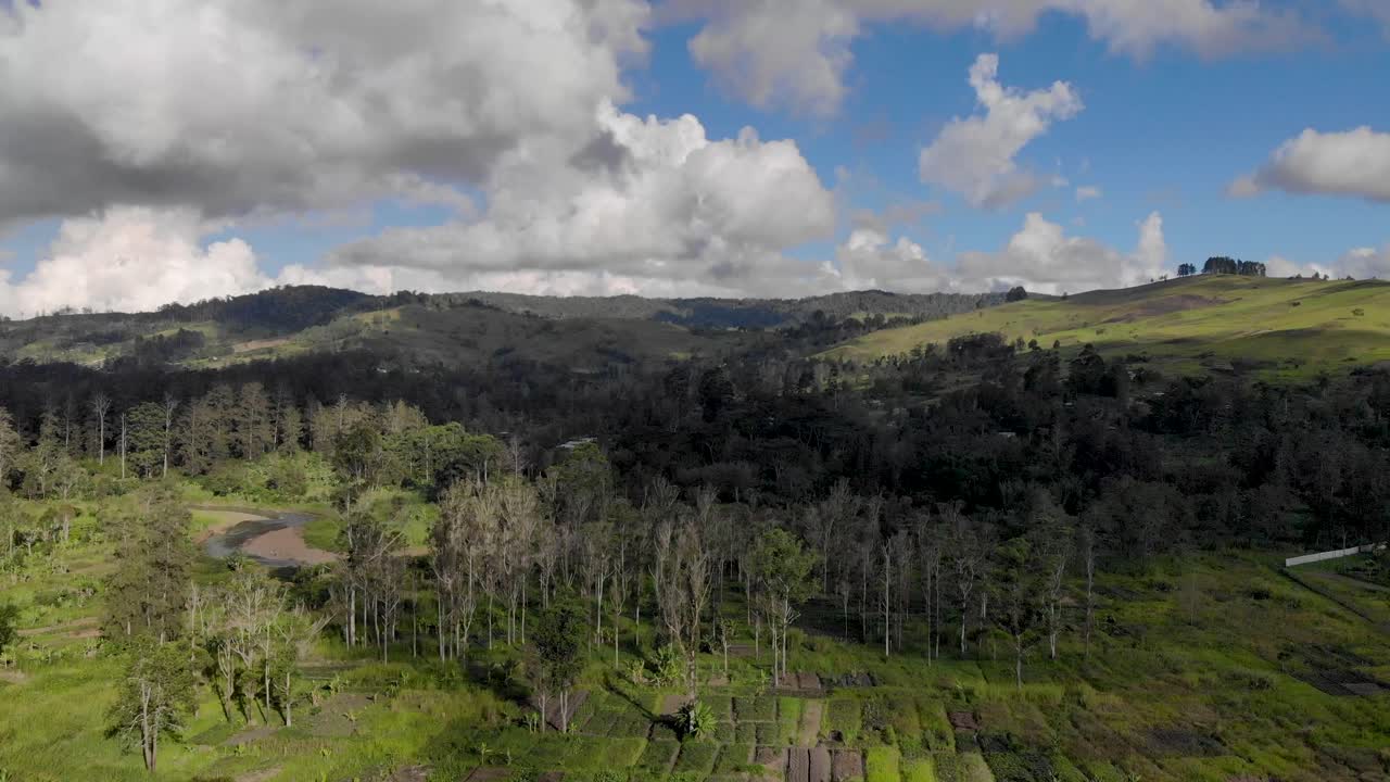Paesaggio tropicale verde e panoramico con montagne, cielo blu, giardini lussureggianti, Papua Nuova Guinea.
