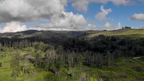 scenic tropical green landscape with mountains, blue sky, lush gardens, papua new guinea