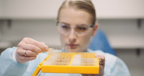 científico está mirando placas con bacterias en el laboratorio 1