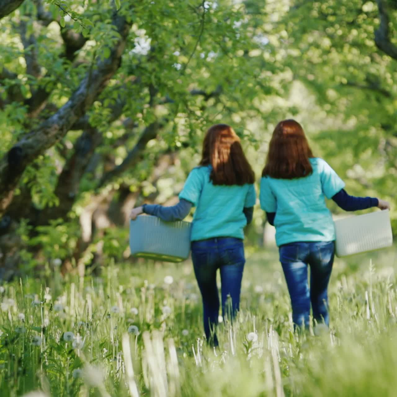 두 명의 젊은 여성 빨간 머리 농부가 사과 정원에 바구니를 들고 온다