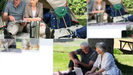 montage of mature couples spending time together