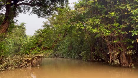 sailing over the freshwater lake of ratargul swamp forest in bangladesh. pov shot