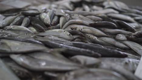 Pescado-Fresco-En-El-Mercado