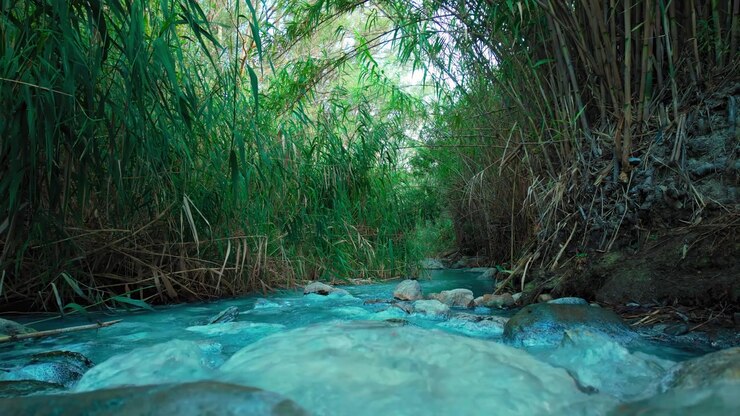 Sulphur-rich water running at Hedionda de Casares, Malaga, Spain