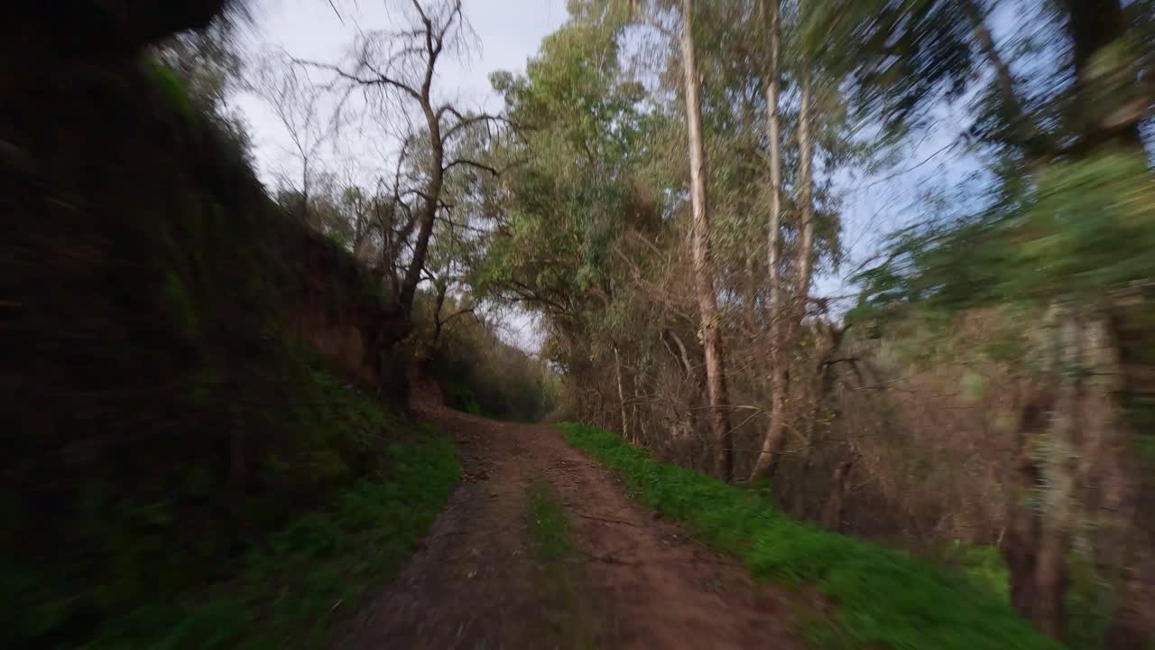 al lado de un olivar en españa, un dron aéreo avanza por un camino de tierra a lo largo del río guadalquivir