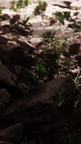 a path through the rocks