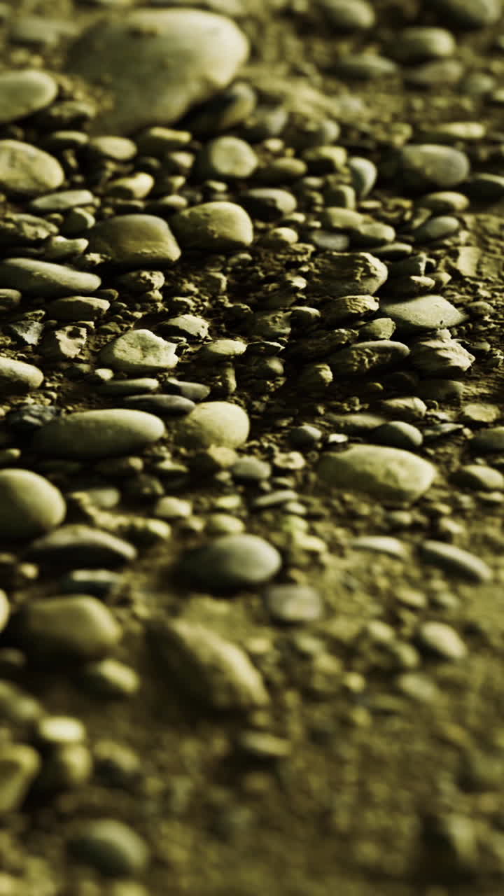 Natural arrangement of pebbles on a sandy shore during daylight hours