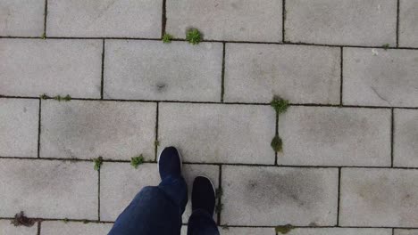 person walking on a cobblestone pavement