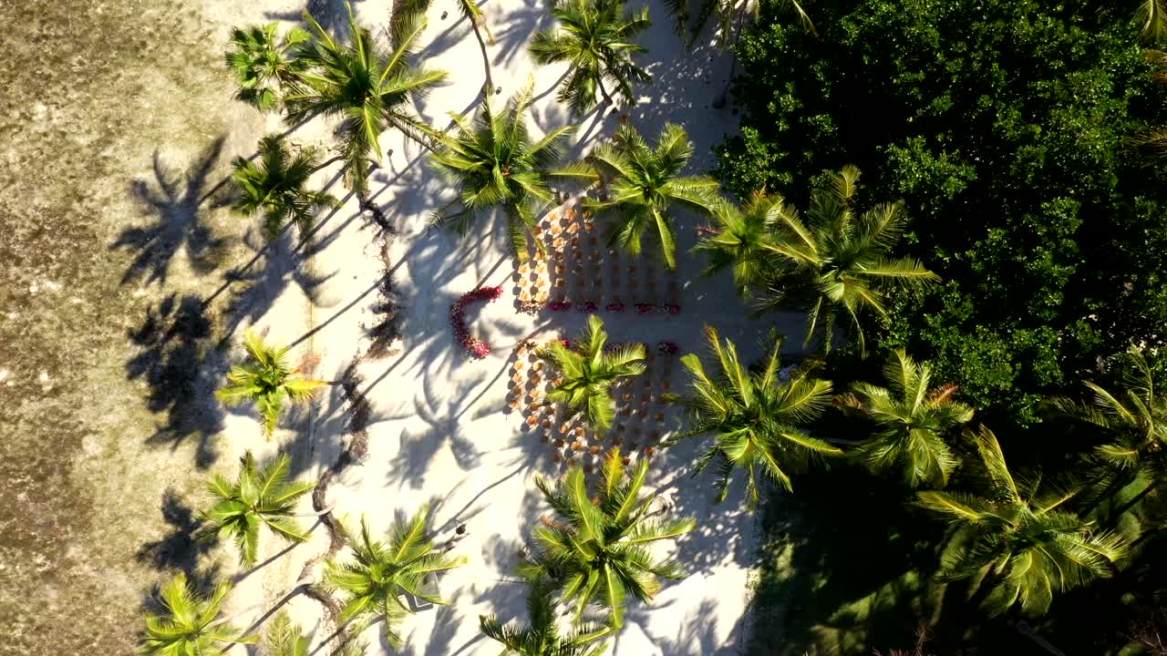 Palm trees cast shadows over sand in direct midday light in Islamorada aerial, drone descend