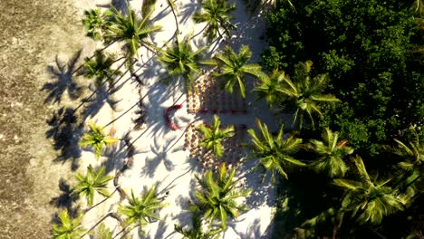 palm trees cast shadows over sand in direct midday light in islamorada aerial, drone descend