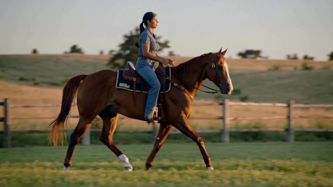 Jinete trotando guía a caballo castaño por potrero al atardecer, entrenando con conos, vestido con jeans.
