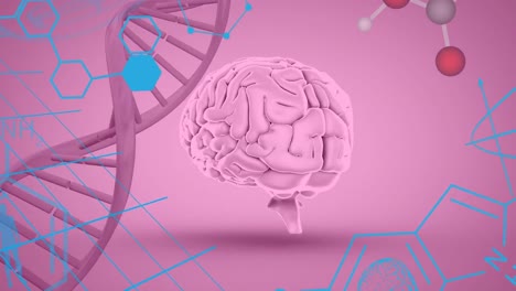 animación de fórmulas químicas sobre el cerebro, el adn y las moléculas en fondo rosa