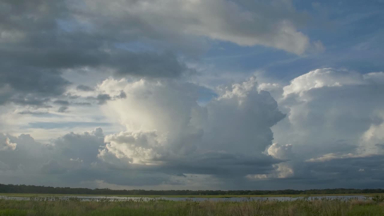 A dramatic sky filled with towering cumulus clouds stretches over a vast open landscape Myakka River State Park Florida