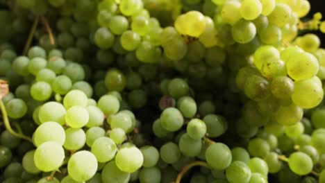 caja llena de uvas blancas en la cosecha en un viñedo español