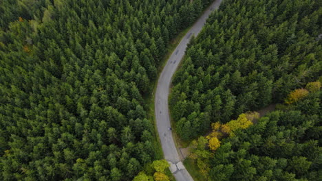 aerial view of a trail in a hilly landscape full of trees on top of a mountain