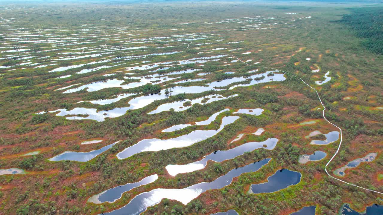 Aerial view of Kemeri swamp showcasing nature's unique landscape in Latvia