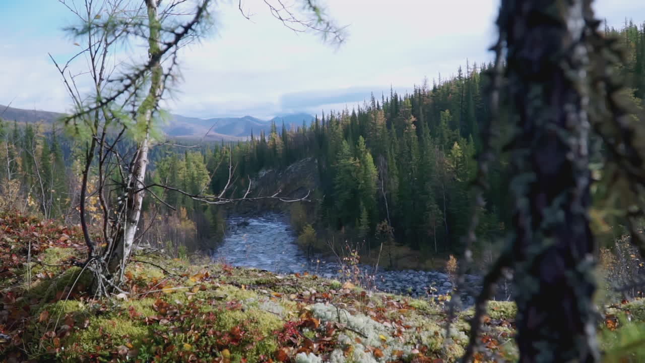 Hiking Adventure in Autumn Forest with Mountain View