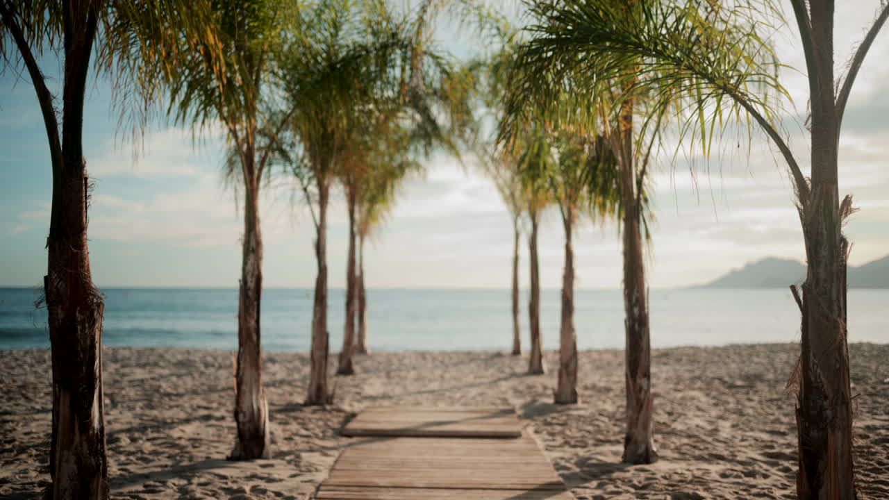 Elegant sunbeds and umbrellas on a beach lounge in Cannes during golden hour