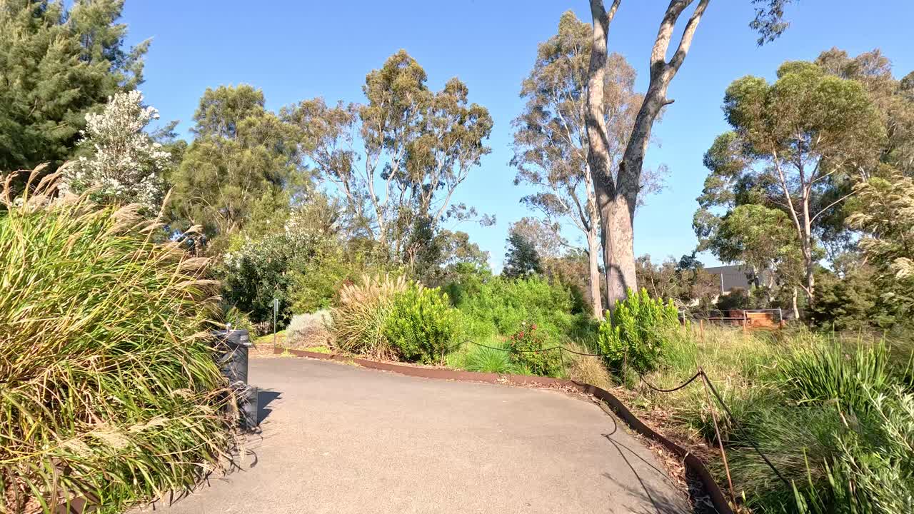 울창 한 초록색 과 나무 를 가로질러 산책 하는 것