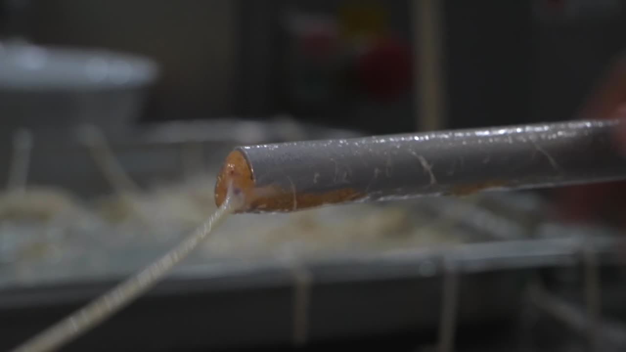 소시지 고기 가공 공장 생산 수제 훈제 삶은 랩 다진 고기 향신료