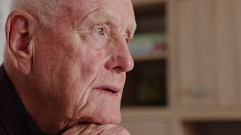 portrait of an elderly man