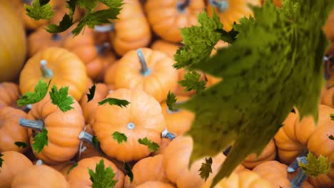 animation of autumn leaves falling over pumpkin patch