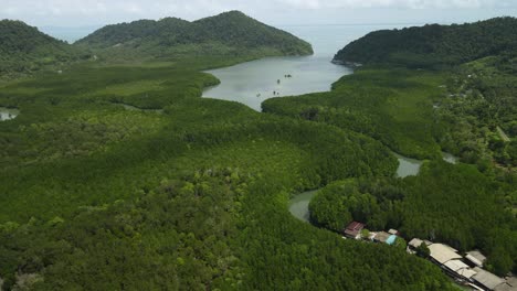 Panorámica-Aérea-A-La-Izquierda-Del-Bosque-De-Manglar-Y-El-Océano